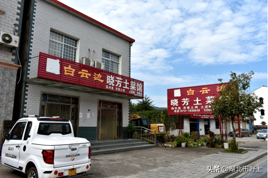 田野上團(tuán)隊(duì)下鄉(xiāng)小記丨走進(jìn)分鄉(xiāng)鎮(zhèn)“窗口”——分鄉(xiāng)場社區(qū)