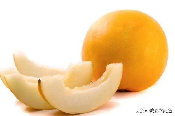 哈密瓜原產地,哈密瓜原產地是哪里