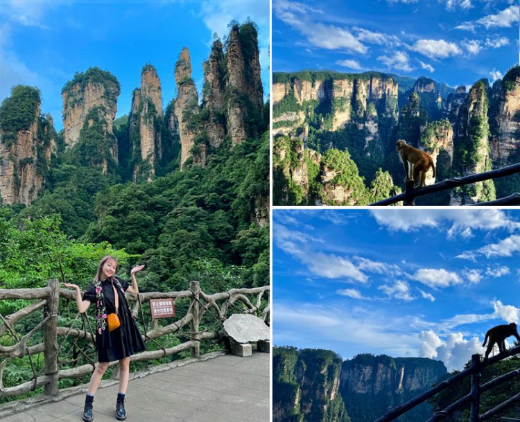 第一次去张家界怎么玩，张家界旅游攻略及路线及住宿，看完不迷路