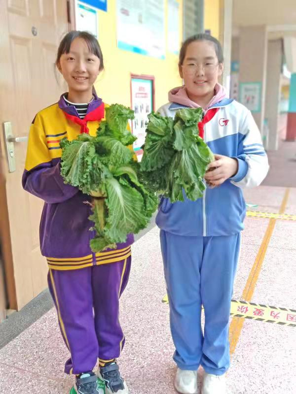 邯郸：丛台区学步桥小学开展校园劳动实践课