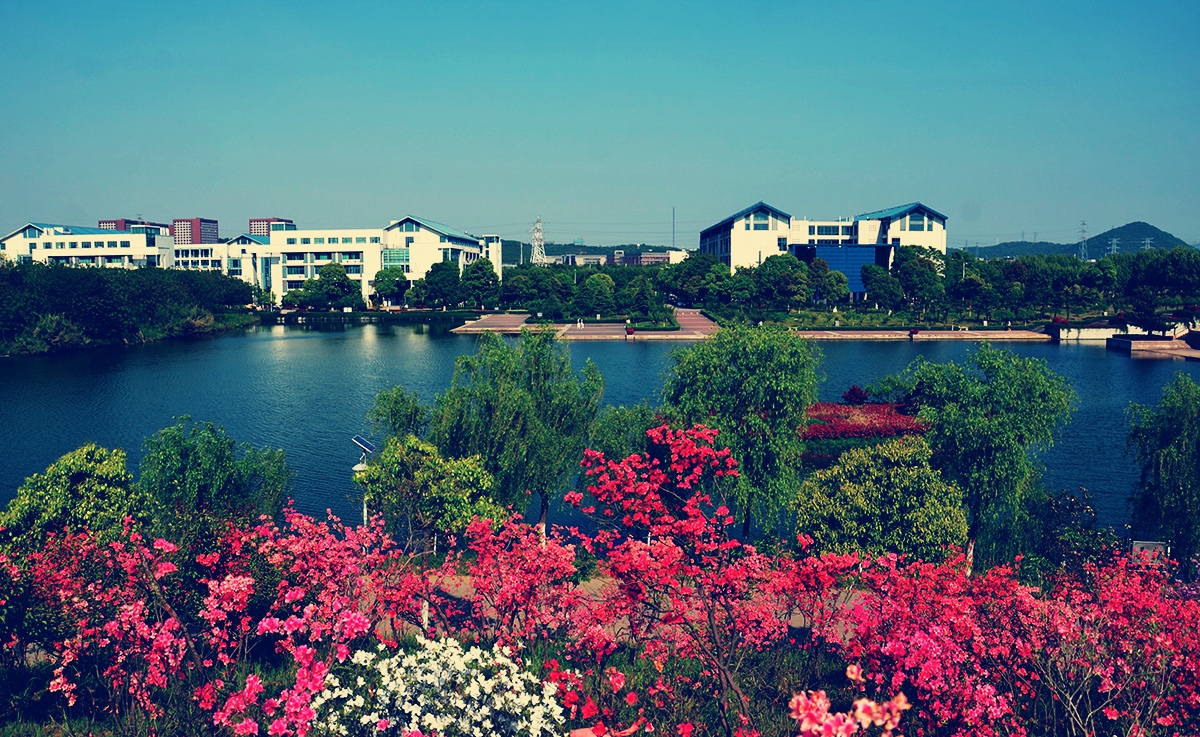 南京工业职业技术学院更名获批，你好，南京工业职业技术大学