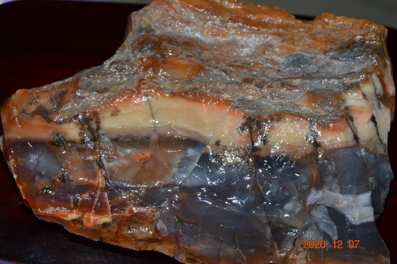 树化玉原石图片(图文赏析树化玉的真正样子)