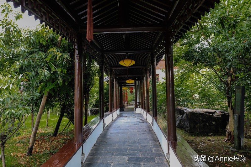 景德镇，观瓷都的前世今生，四天三晚最全旅游攻略