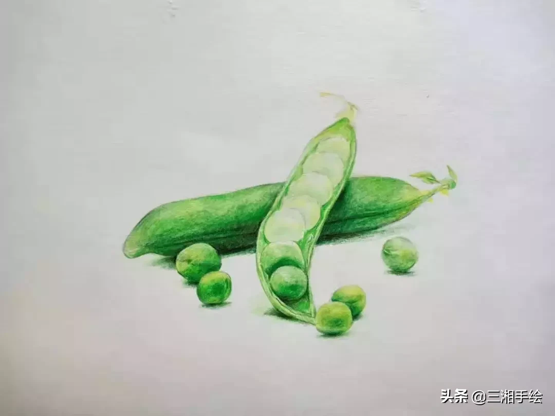 彩铅教程,豌豆荚画的淋漓尽致,零基础容易上手