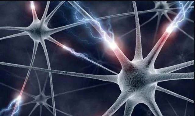为什么宇宙的结构与大脑神经元结构如此相似？