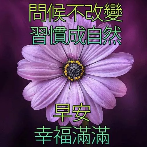 早上安康：盛年不重来，一日难再晨，珍惜每一天，早安