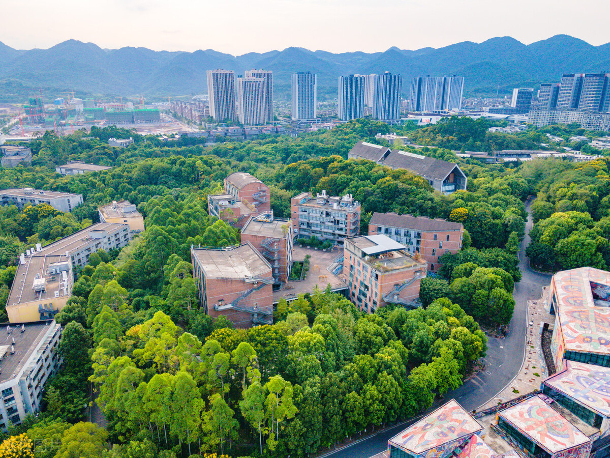 有人欢喜有人愁成绩有升有降，四川美术学院2021年录取分数线公布