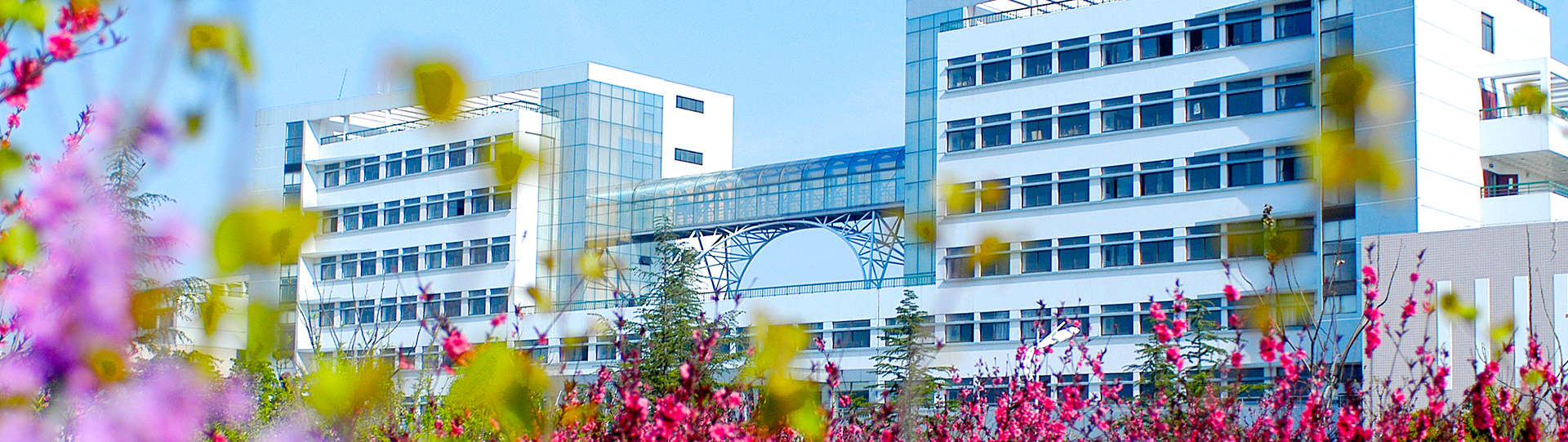 安徽财经大学2020年招生计划，2019年各专业录取分数