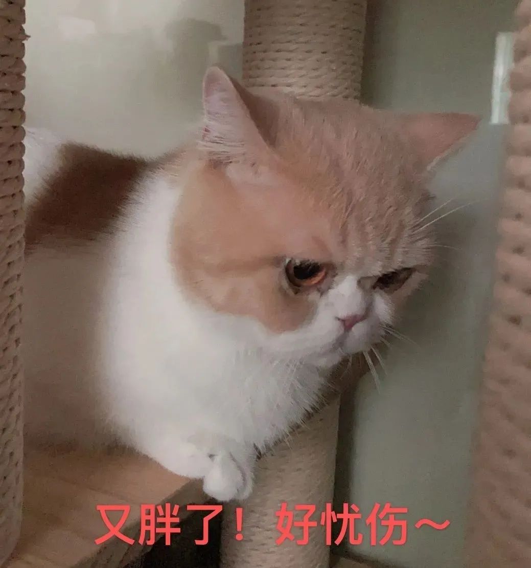 齿痕舌是内湿顽固的标志，教你4个方法，长期坚持消齿印