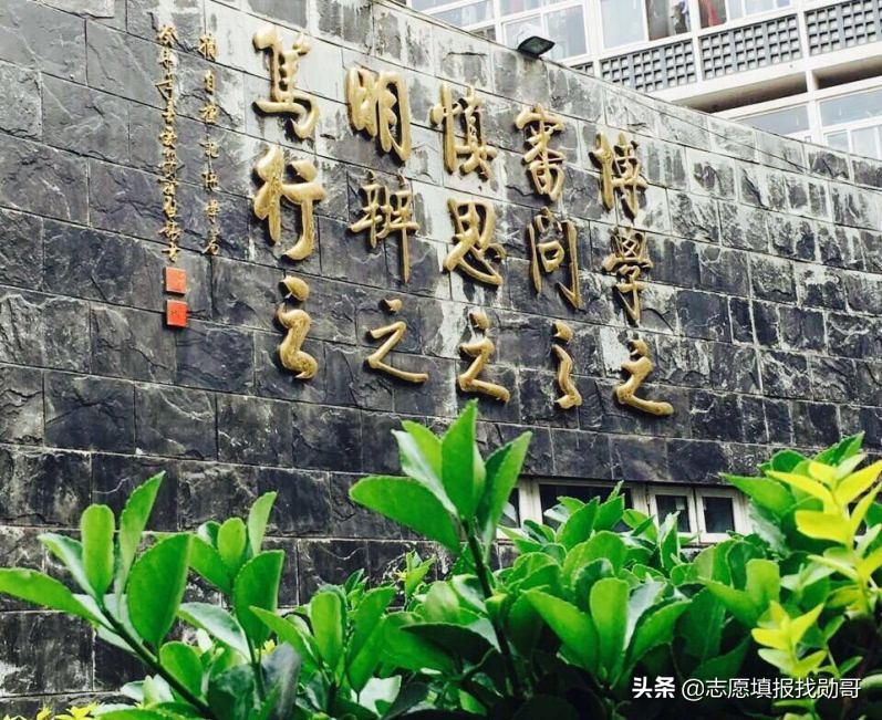 我国2所著名的交通类大学，国立交大的后裔均为正统，谁实力更强?