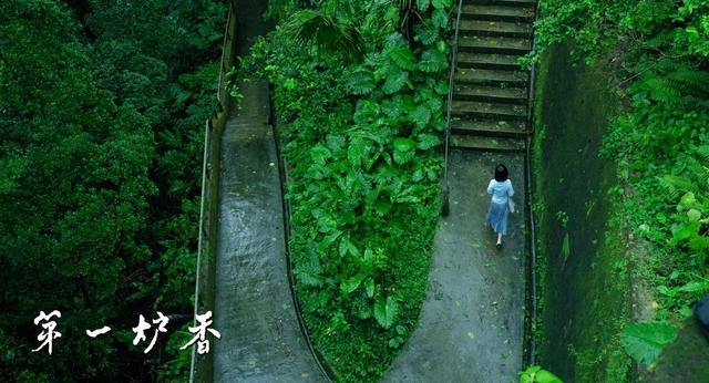 《第一炉香》：以亲情为名义的互相利用，才是最大的恶意