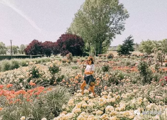 看到美景只会说“good/beautiful”吗？瞬间暴露你的英语水平！