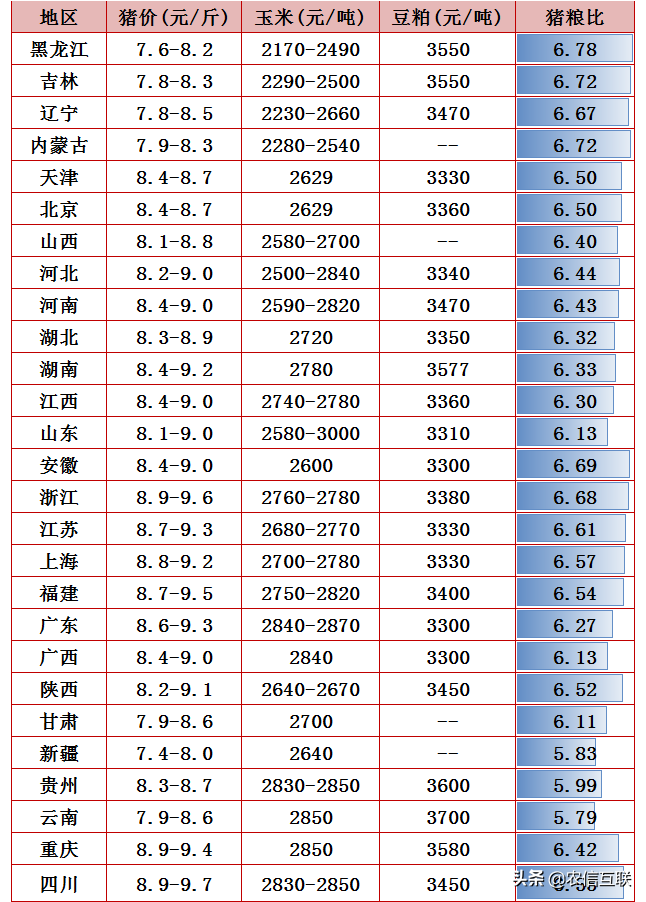 囤货、寒流支撑猪价上涨，肥猪一斤12块！但养殖户需警惕回调风险