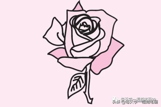每天学一幅简笔画--玫瑰花简笔画的画法步骤教程及图片大全