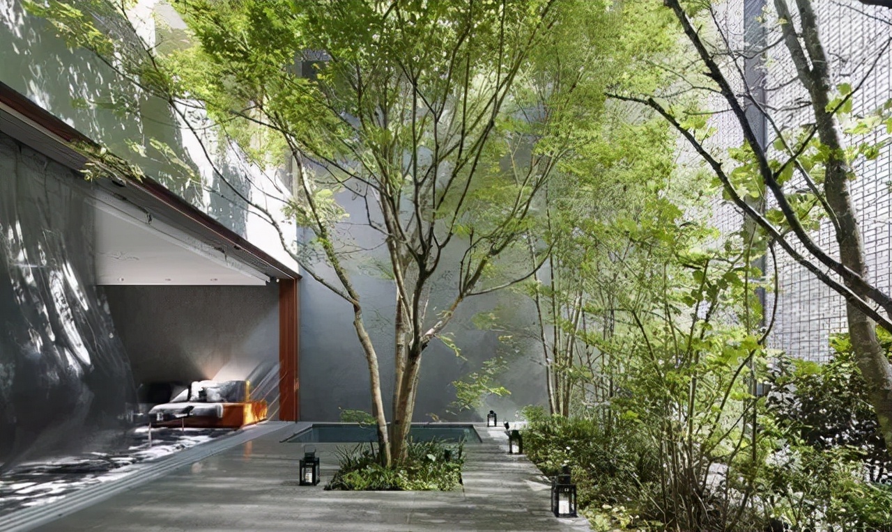 关于城市小院的说说城市中的小院说说