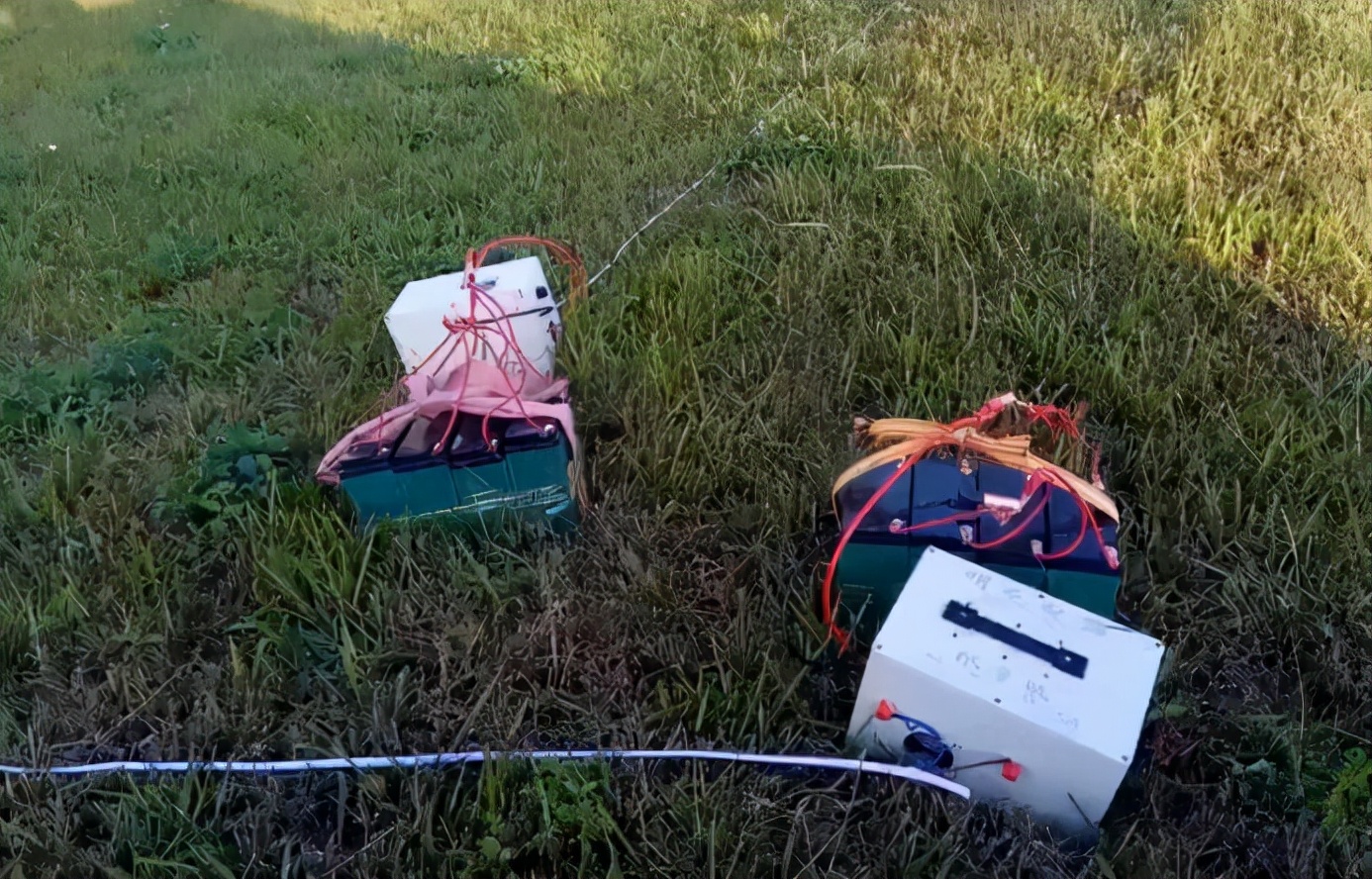 电蚯蚓的人为何如此疯狂?暴利下隐藏着什么危机?