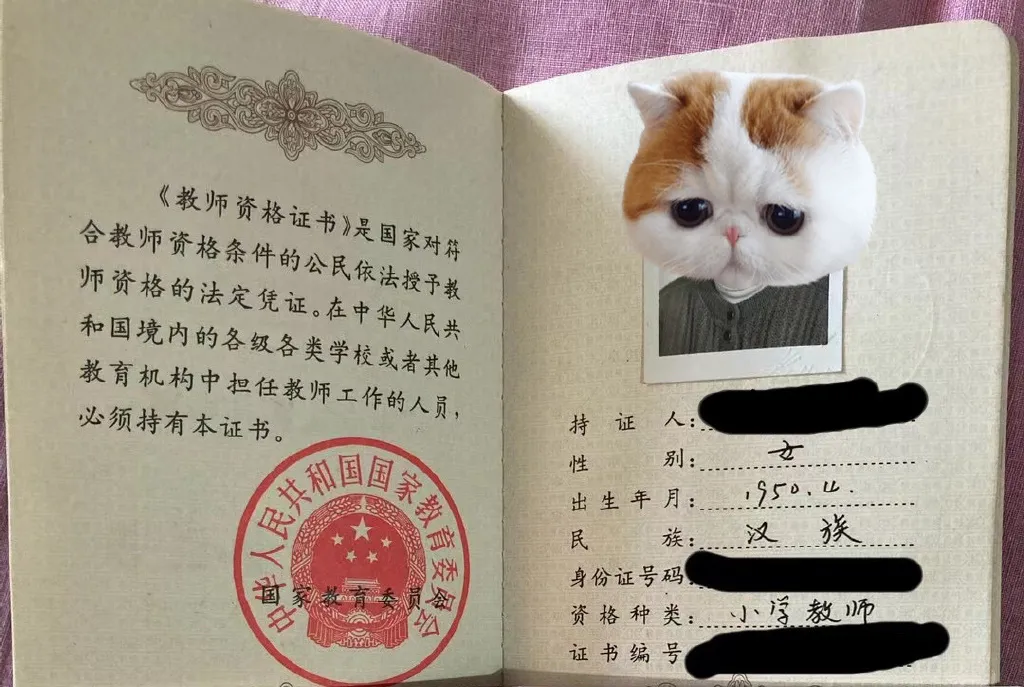 教师资格证上的编号是什么意思？