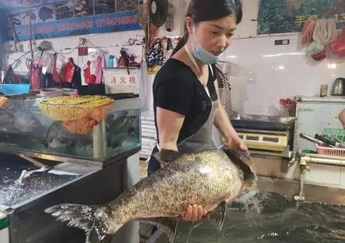 没存款又想创业？来试试这几个闷声发大财的项目，建议收藏