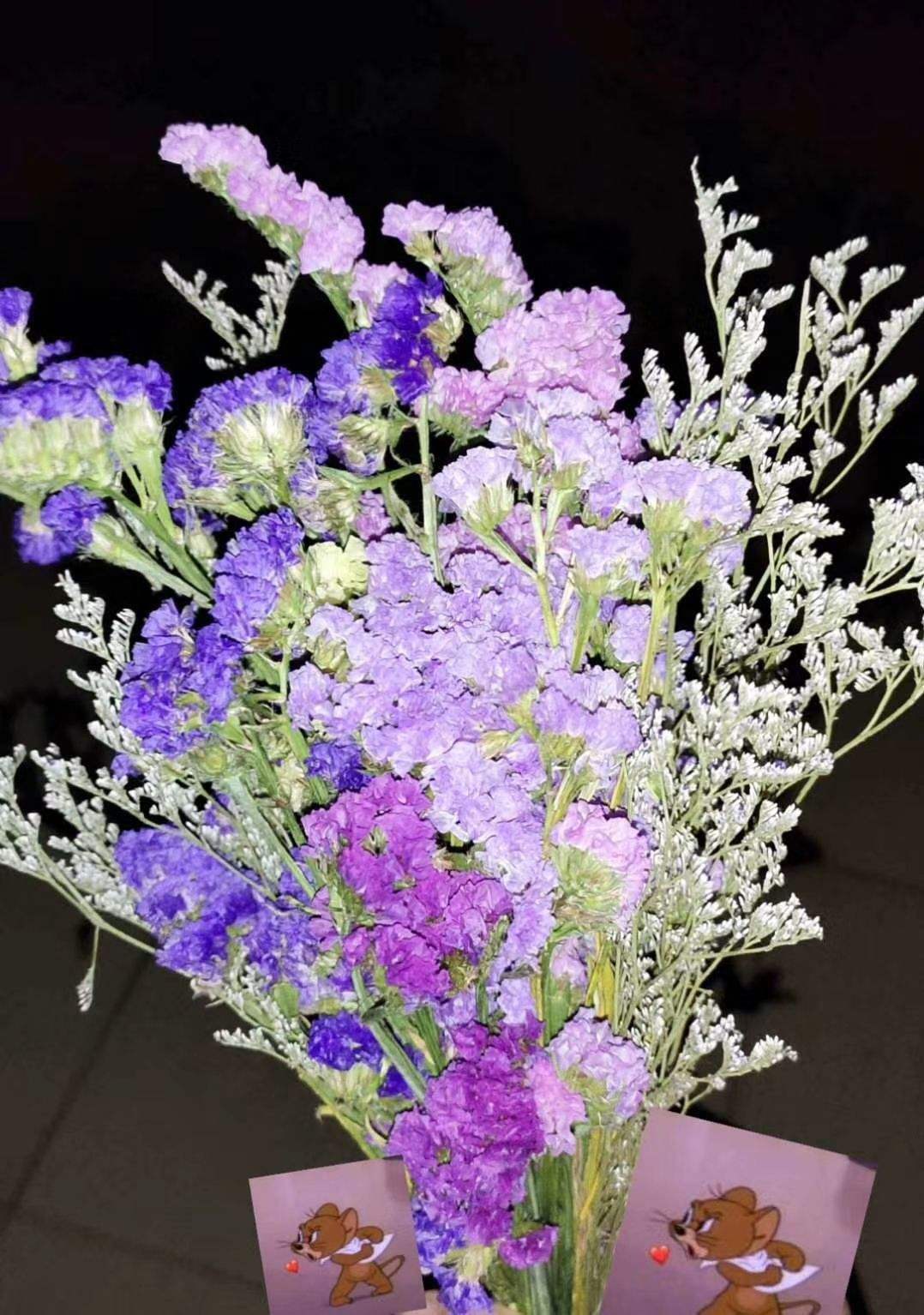 花种类介绍大全（常见花图文并茂非常详细）