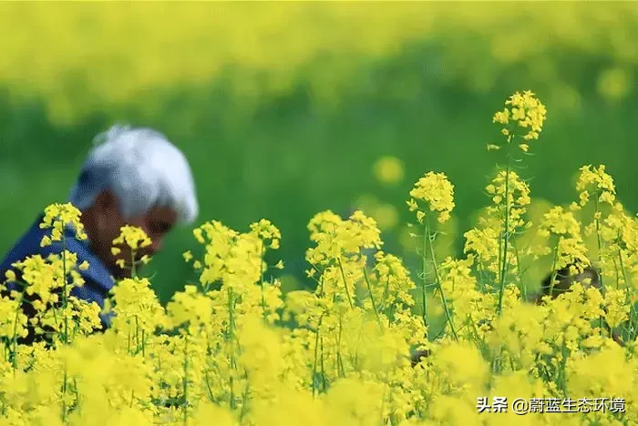 清明为什么要祭祖？