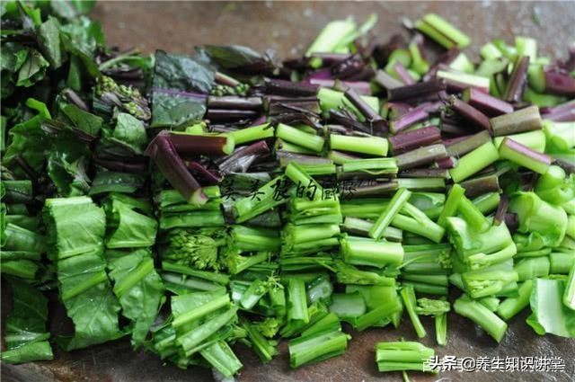 牙龈出血、口腔溃疡,这菜别错过,3块钱一大把,润肠又通便
