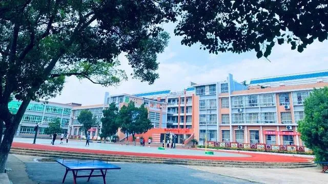 “唯楚有才,鄂东为最,麻城尤盛”麻城曾经的八大高中你知道那几所