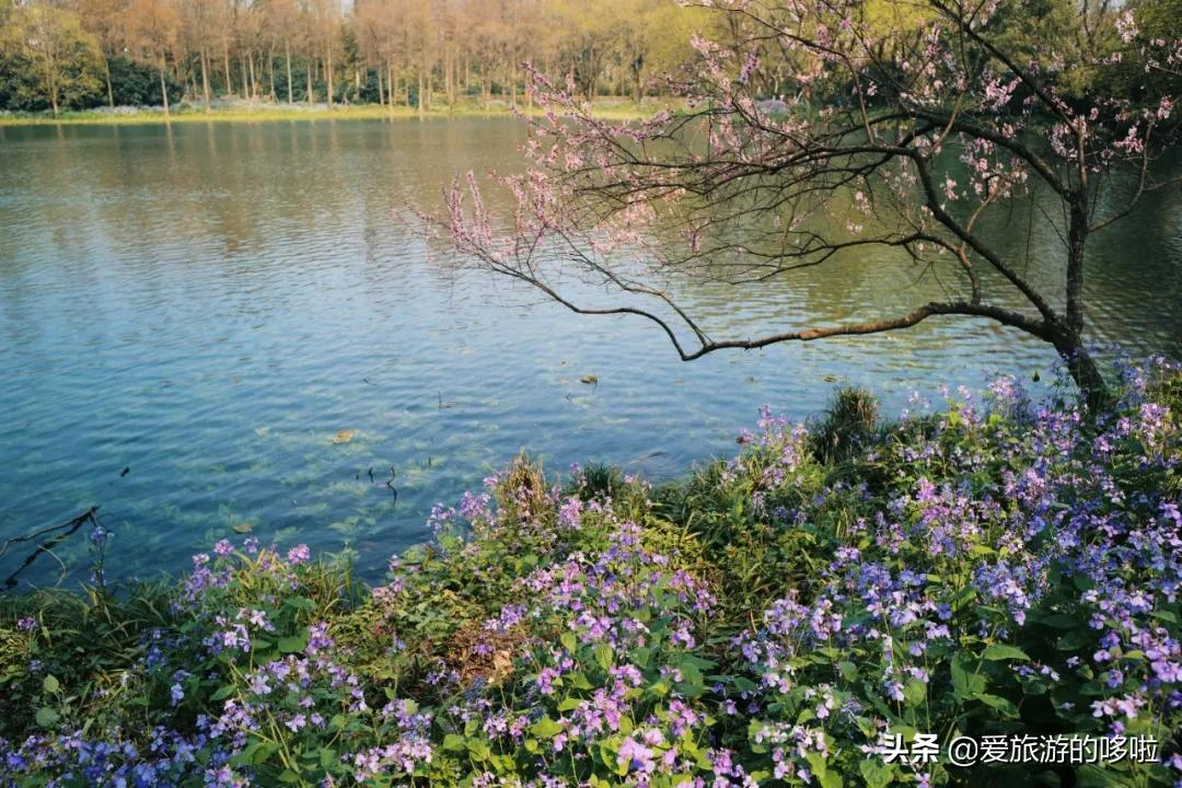 6块钱,包船游西湖