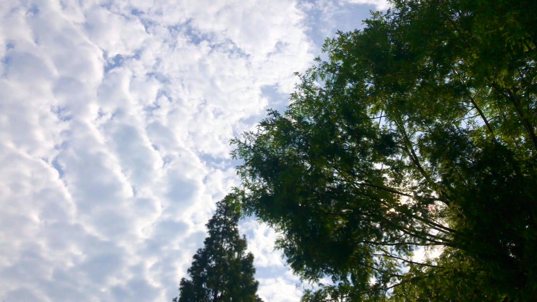 上海淀山湖风景区自驾一日游