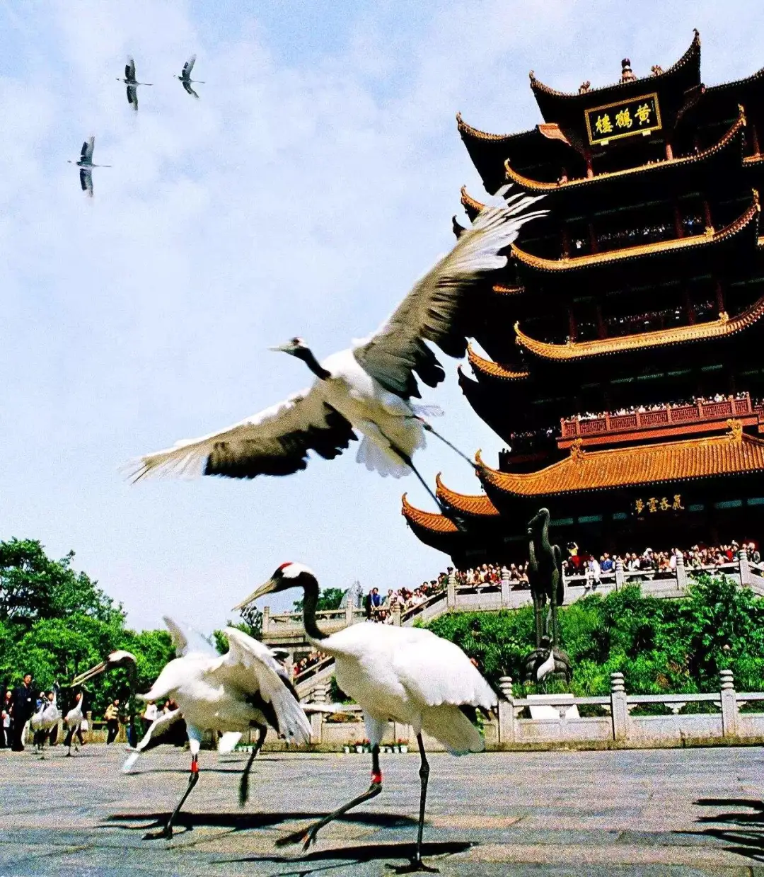 十大名楼!太全了!你见过几个?