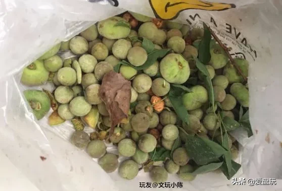 能在山上“白嫖”的10种手串,包浆超美