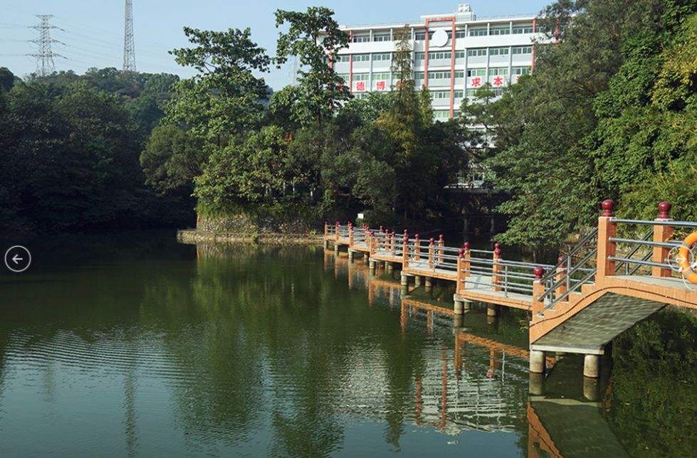 2020年3+证书最低录取167分，广东江门中医药职业学院介绍