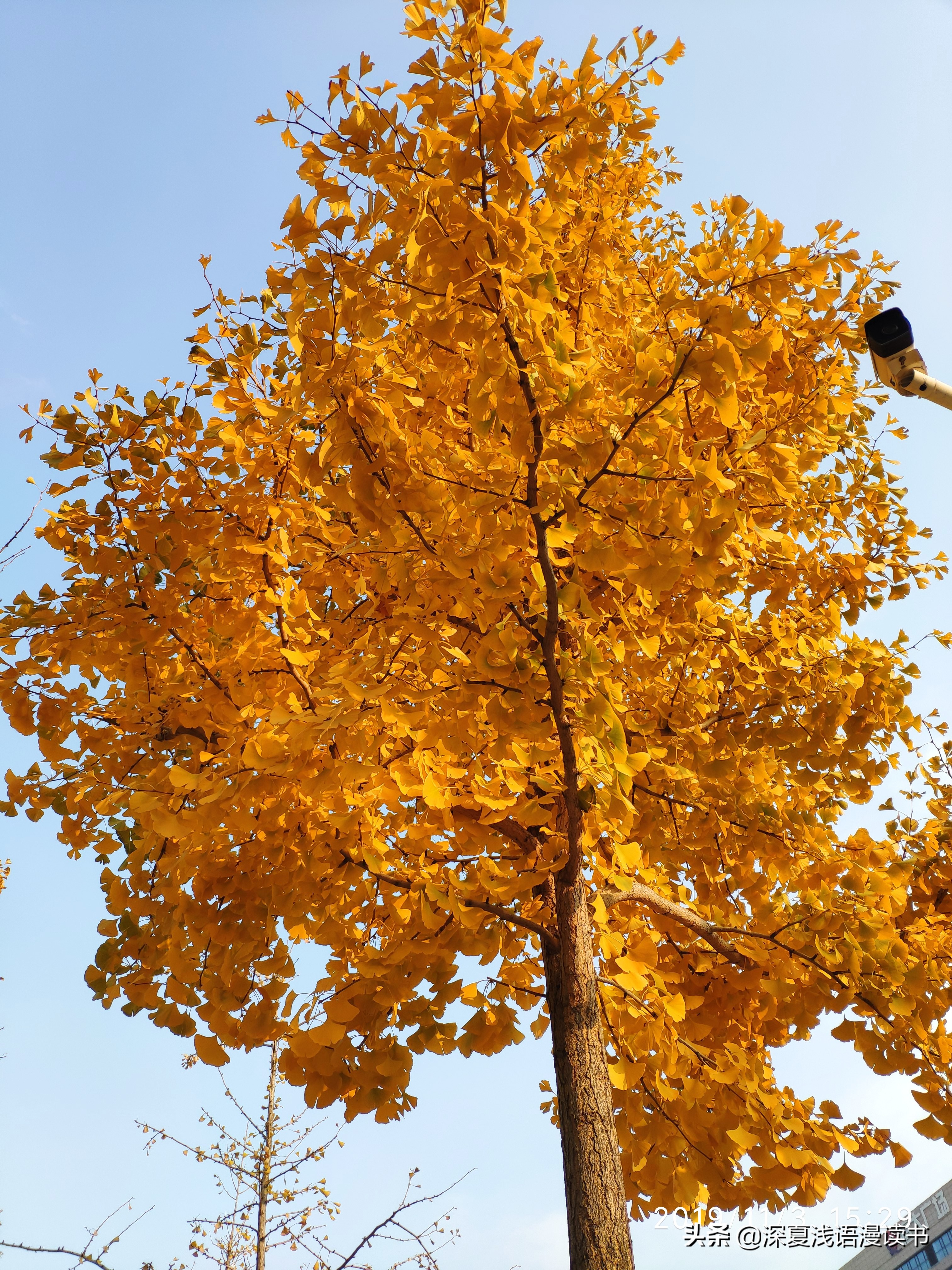 大学生花钱如流水（高中记6）