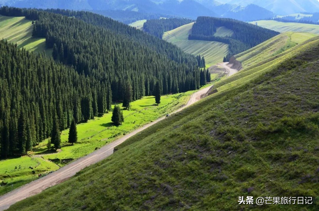 南山牧場在哪裡(新疆烏魯木齊南山牧場,門票45元,風景如畫遊客少)