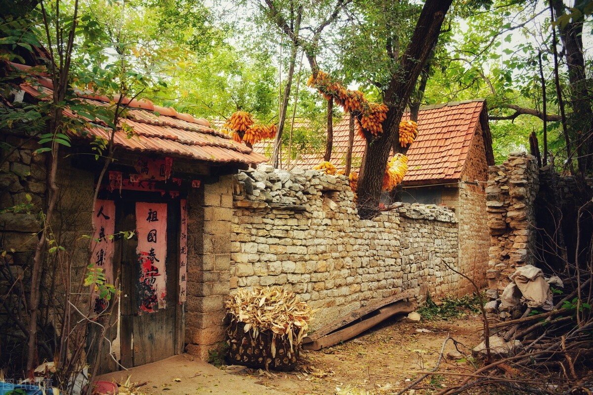 为何蛇进家后要用竹棍“请”出去，有啥方法防止蛇进家？答案来了