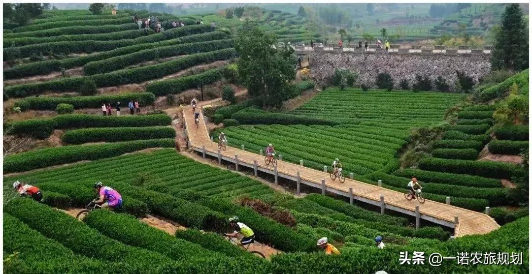 农业庄园＋田园综合体+特色小镇，未来30年房地产转型的机遇