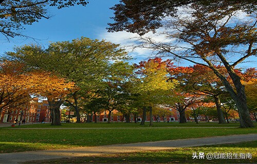 成都护士学校招生（卫校招生要求2021分数线初中成都）