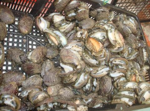 湛江十大风味独特的美食，每次回家乡都想去品尝