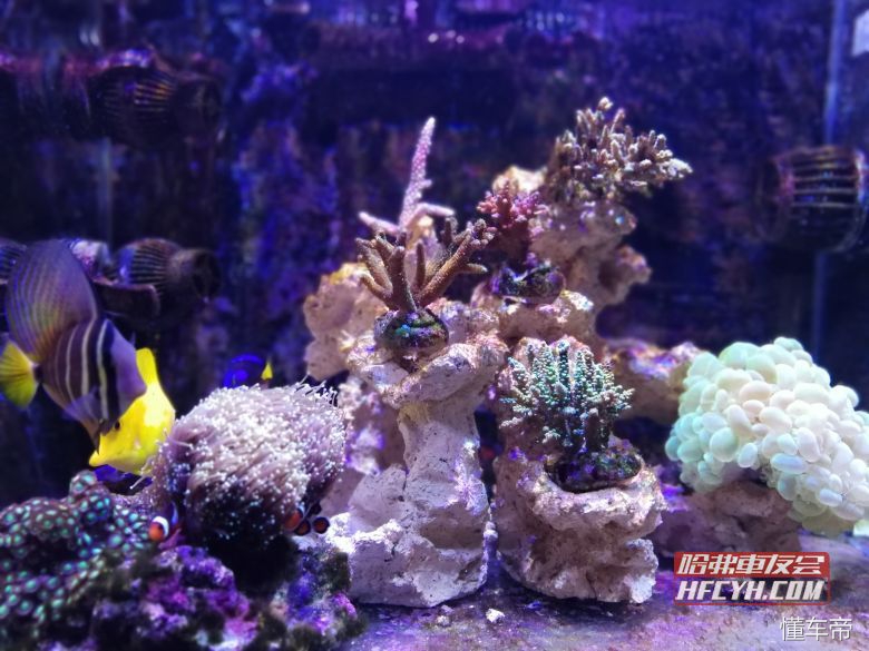 哈弗H9驾驶75天用车心得分享