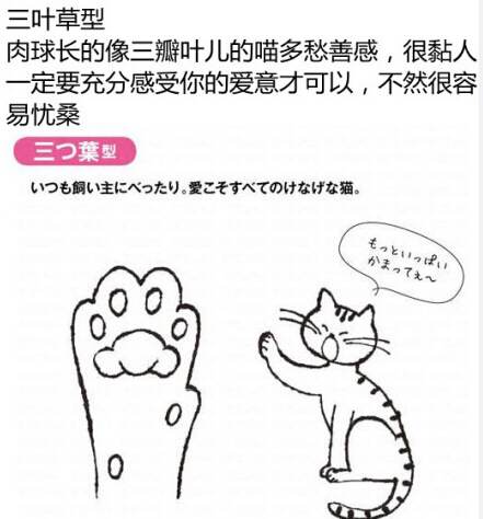 算命先生给猫咪看手相了，大家快来看！！！