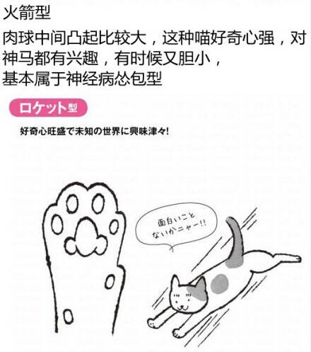 算命先生给猫咪看手相了，大家快来看！！！