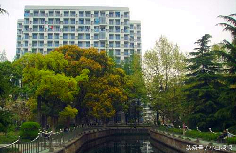 這所211大學放到其他省份是老大，而在當地想出風頭真的很難