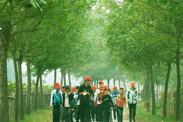 植树节的由来，植树节的意义是什么？