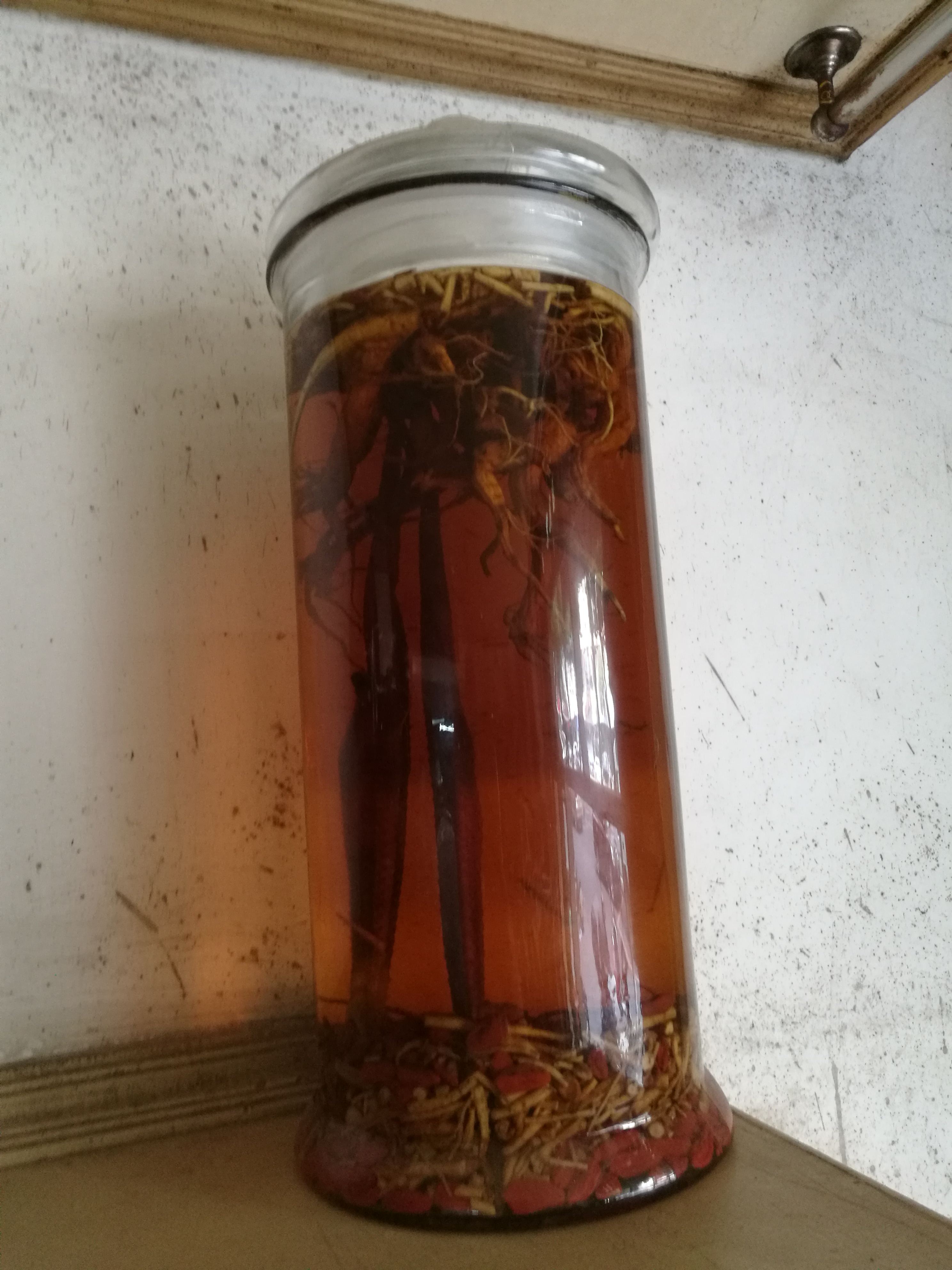 海星泡酒的功效与作用-我的快乐小窝