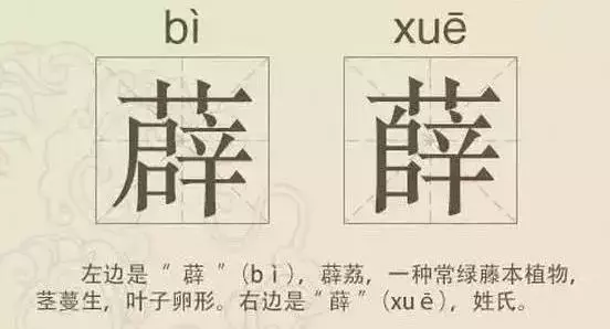 看到这些汉字,我感觉自己的语文白学了!