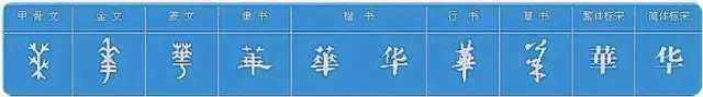 看到这些汉字,我感觉自己的语文白学了!