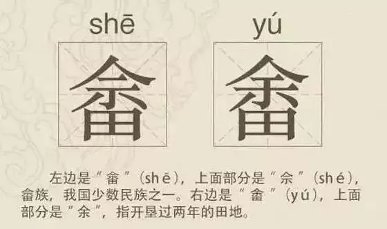 看到这些汉字,我感觉自己的语文白学了!