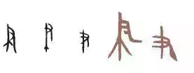 看到这些汉字,我感觉自己的语文白学了!