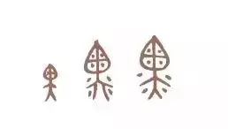 看到这些汉字,我感觉自己的语文白学了!