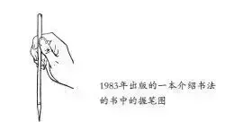 看到这些汉字,我感觉自己的语文白学了!