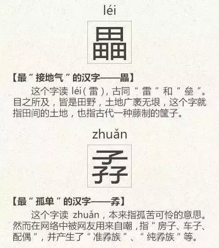看到这些汉字,我感觉自己的语文白学了!